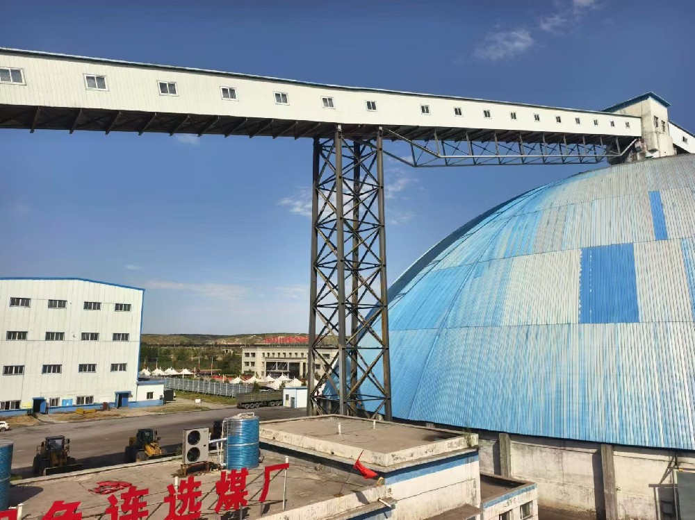 輸煤棧橋鋼結(jié)構(gòu)安全可靠性鑒定